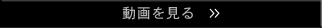 動画を見る